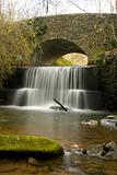 Devon Waterfall