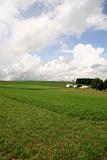 Green Field Farmland