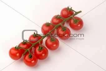 Cherry Tomato's