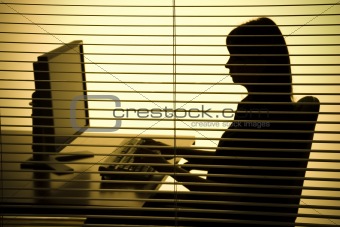 silhouette of woman working computer (blind)