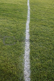 White Line, Green Field