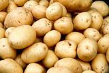Organic potato