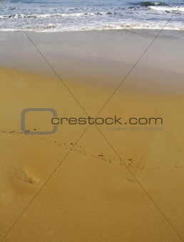 Beach Detail