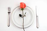 Place Setting with Rose