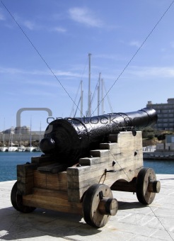  Cannon