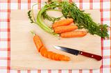 Sliced fresh carrots