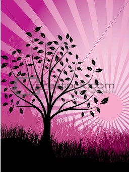 Sunset and tree,  vector