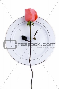 Place Setting with Rose