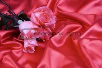 Rose with silk