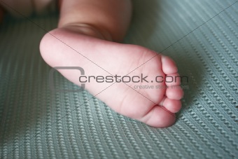 baby's foot