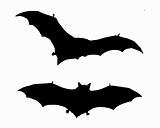 The black silhouette of two bats flying