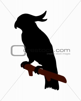 The black silhouette of a cockatoo on white