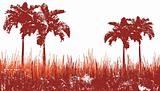 Palm Tree Background, Grunge Background