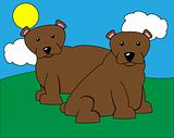 Pair of Bears Illustration