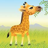 Baby Animal collection: Giraffe