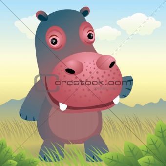 Baby Animal collection: Hippo