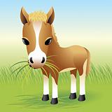 Baby Animal collection: Horse