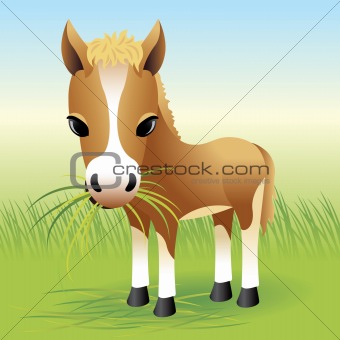 Baby Animal collection: Horse