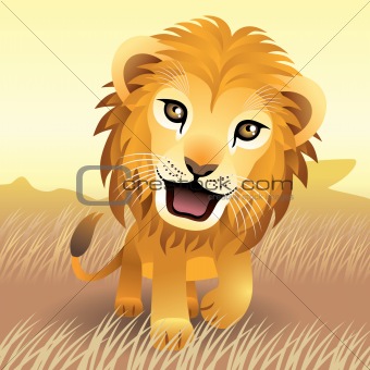 Baby Animal collection: Lion