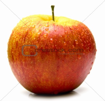 Wet red apple