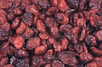 dried fruit - cranberry - background