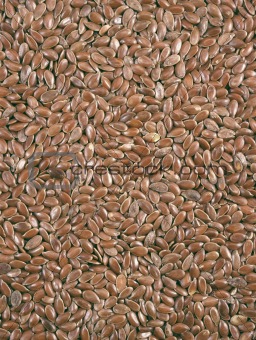 Closeup view of flix seeds - background