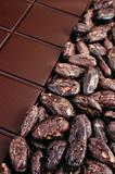Chocolate and cocoa beans