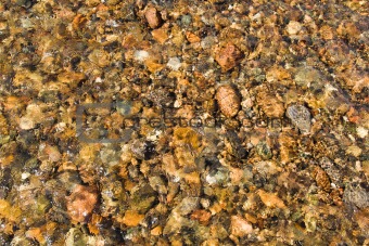 Pebbles in Stream 