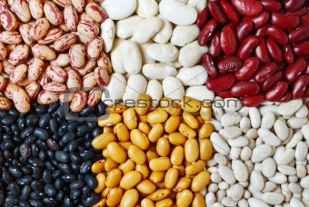 Beans mixture
