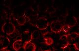 Microscopic Cell Organisms Abstract Background