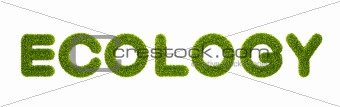symbolic grassy word "ecology"