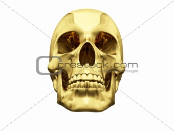 Gold skull over white