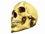 Gold skull over white