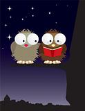 Mr and Mrs owl in love