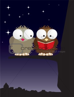 Mr and Mrs owl in love