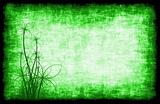 Green Grunge Background Floral