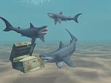 3d sharks 