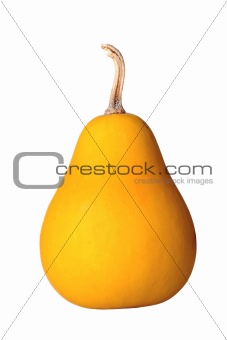 pear-like pumpkin