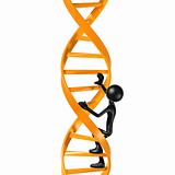 Climbing DNA Ladder