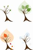 Four Seasons of a Tree