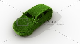 green grass car