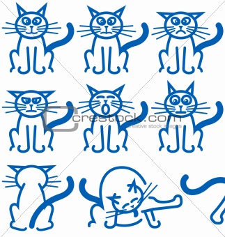 Nine common expressions of a cat