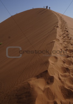 Dune walkers