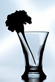 silhouette of a flower in a glass