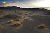 Sunrise in a desert