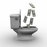 Throwing Money Down the Toilet