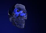 Glass Crystal Human Skull