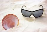 Seashell and sunglasses