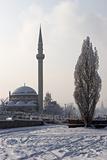 Mosque and poplar tree in winter