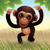 Baby Animal collection: Monkey